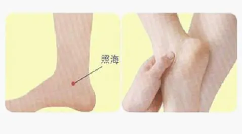 篮球试训前的体能训练方案_0